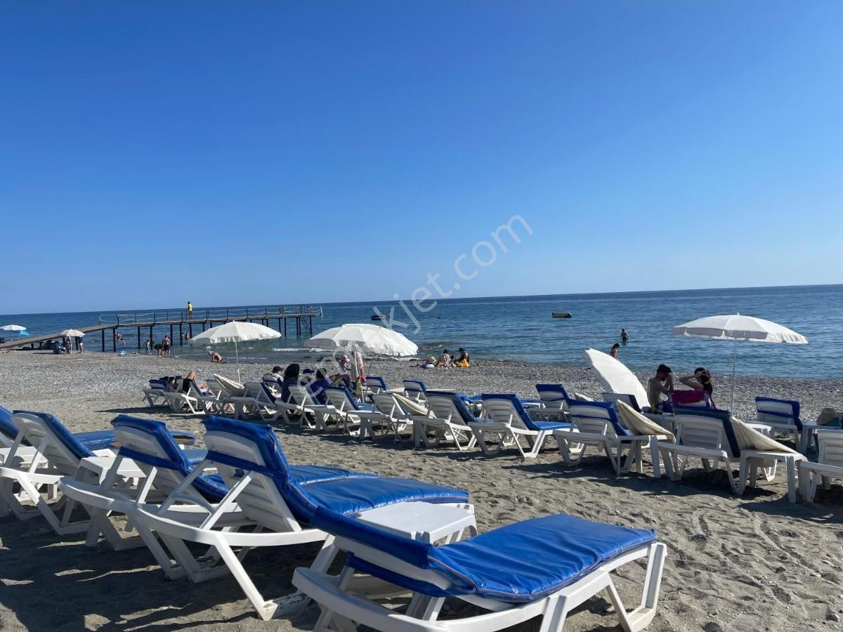 🏖️kestel Calypso 2+1 Dubleks