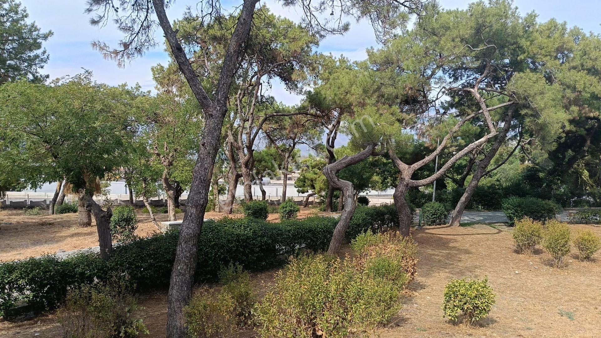 Eşrefpaşa Yapıcıoğlu Cici Park Yakını Satılık Bina - Görsel 3