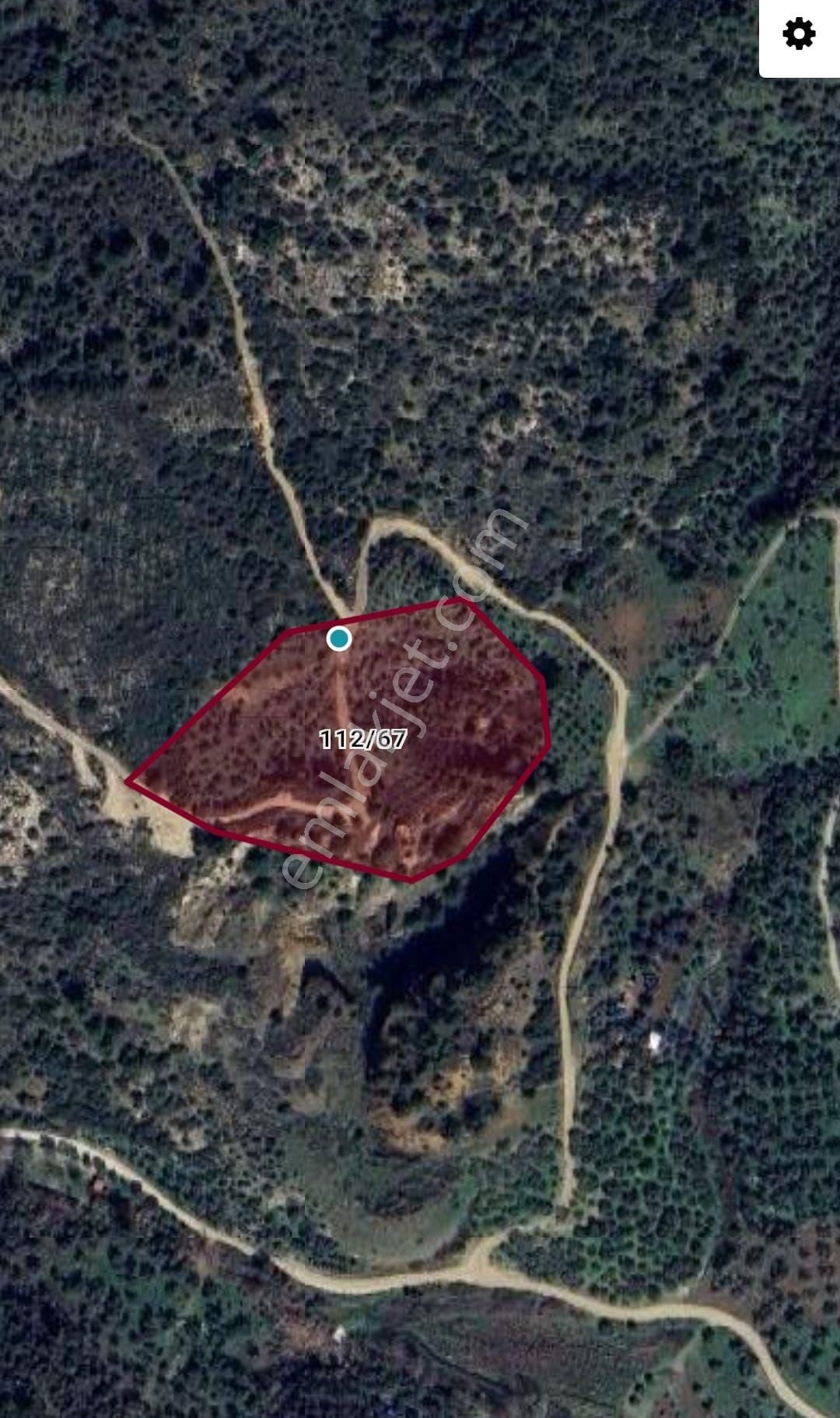 Bayındır Gayrimenkul - Satılık Zeytinlik