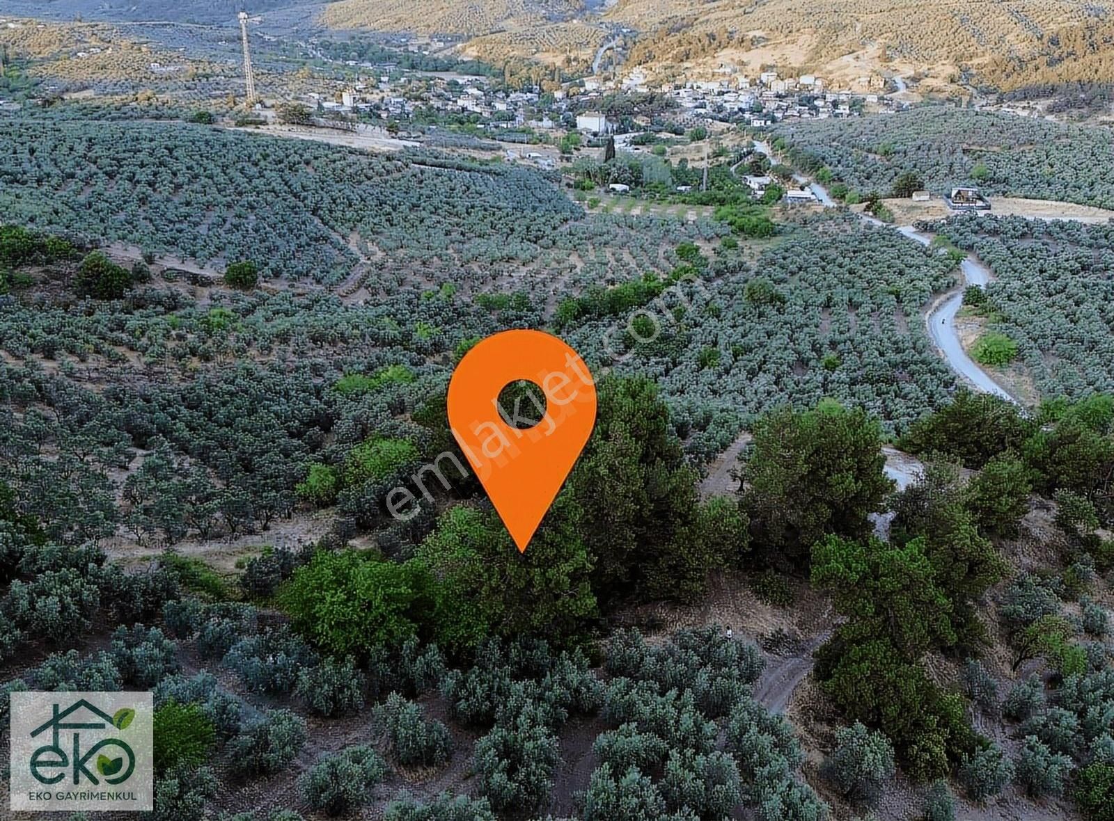 Tepede Harika Manzaralı Satılık Tek Tapu Arazi - Görsel 3