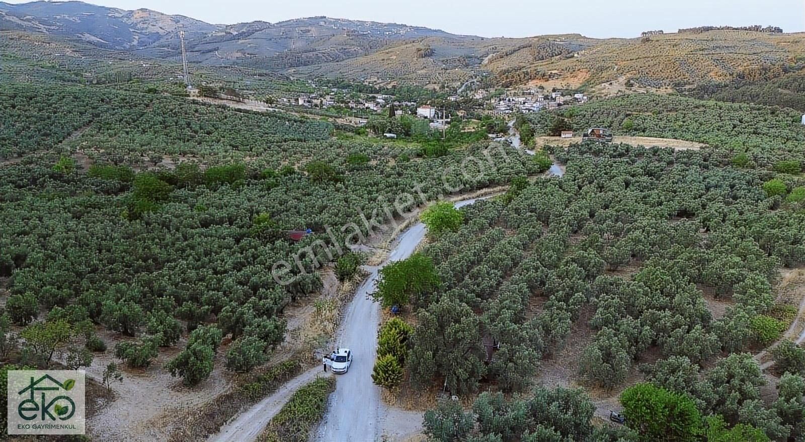 Tepede Harika Manzaralı Satılık Tek Tapu Arazi - Görsel 5