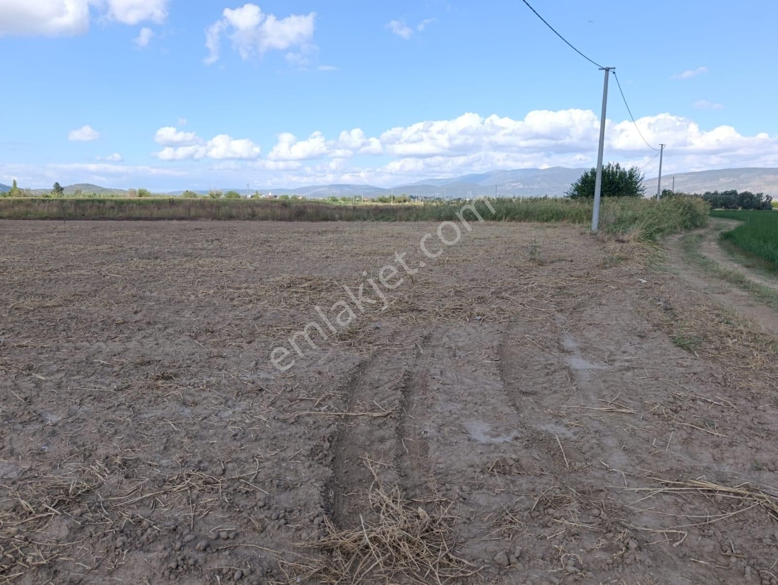 Yıldırım Mühendislik'ten Ekinanbarında "1388 M2 "bodrum Çevre Yoluna 35 M - Görsel 4