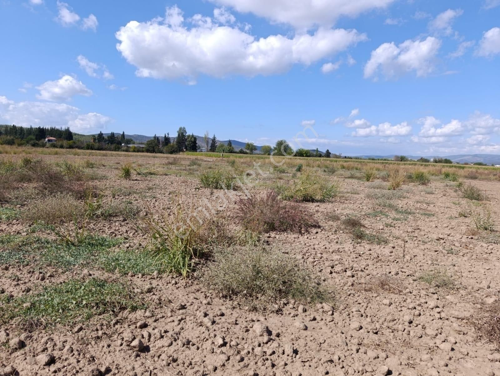 Yıldırım Mühendislik'ten Ekinanbarında "1388 M2 "bodrum Çevre Yoluna 35 M - Görsel 7