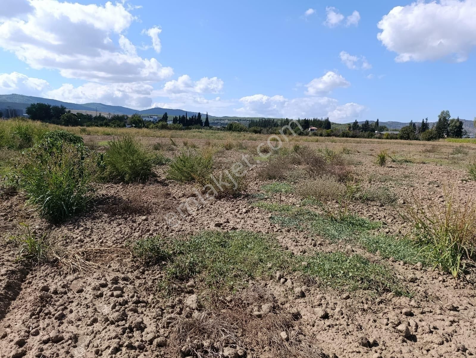 Yıldırım Mühendislik'ten Ekinanbarında "1388 M2 "bodrum Çevre Yoluna 35 M - Görsel 6