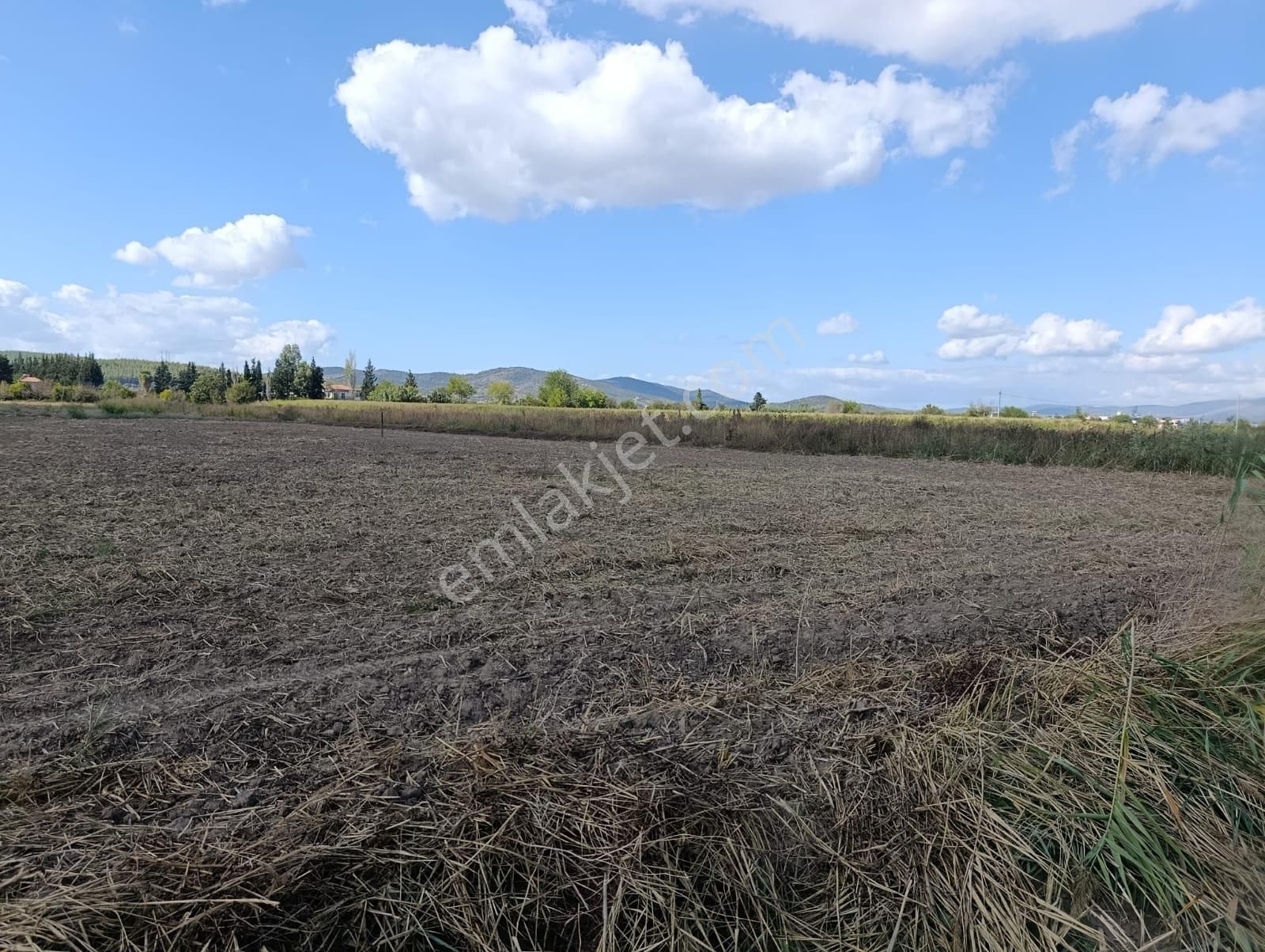 Yıldırım Mühendislik'ten Ekinanbarında "1388 M2 "bodrum Çevre Yoluna 35 M - Görsel 5