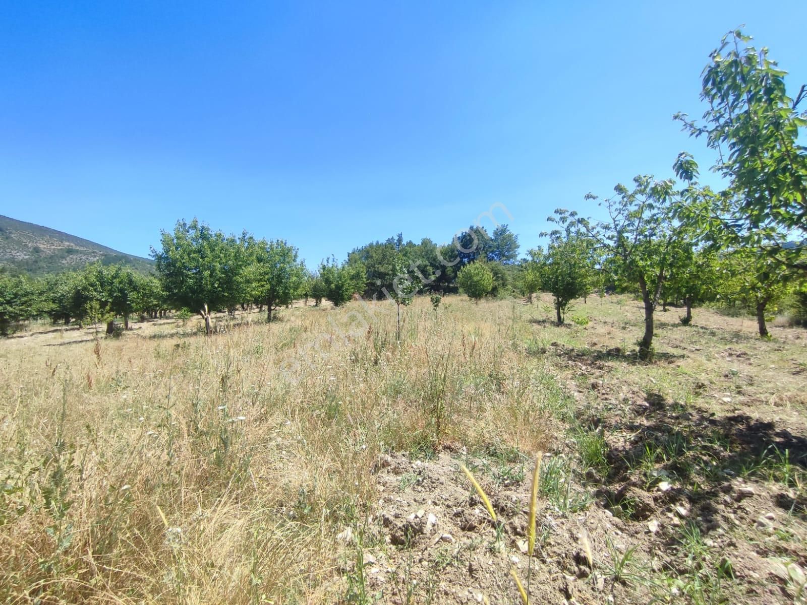 Bursa Keles Denizler De Satılık Bahçe - Görsel 8