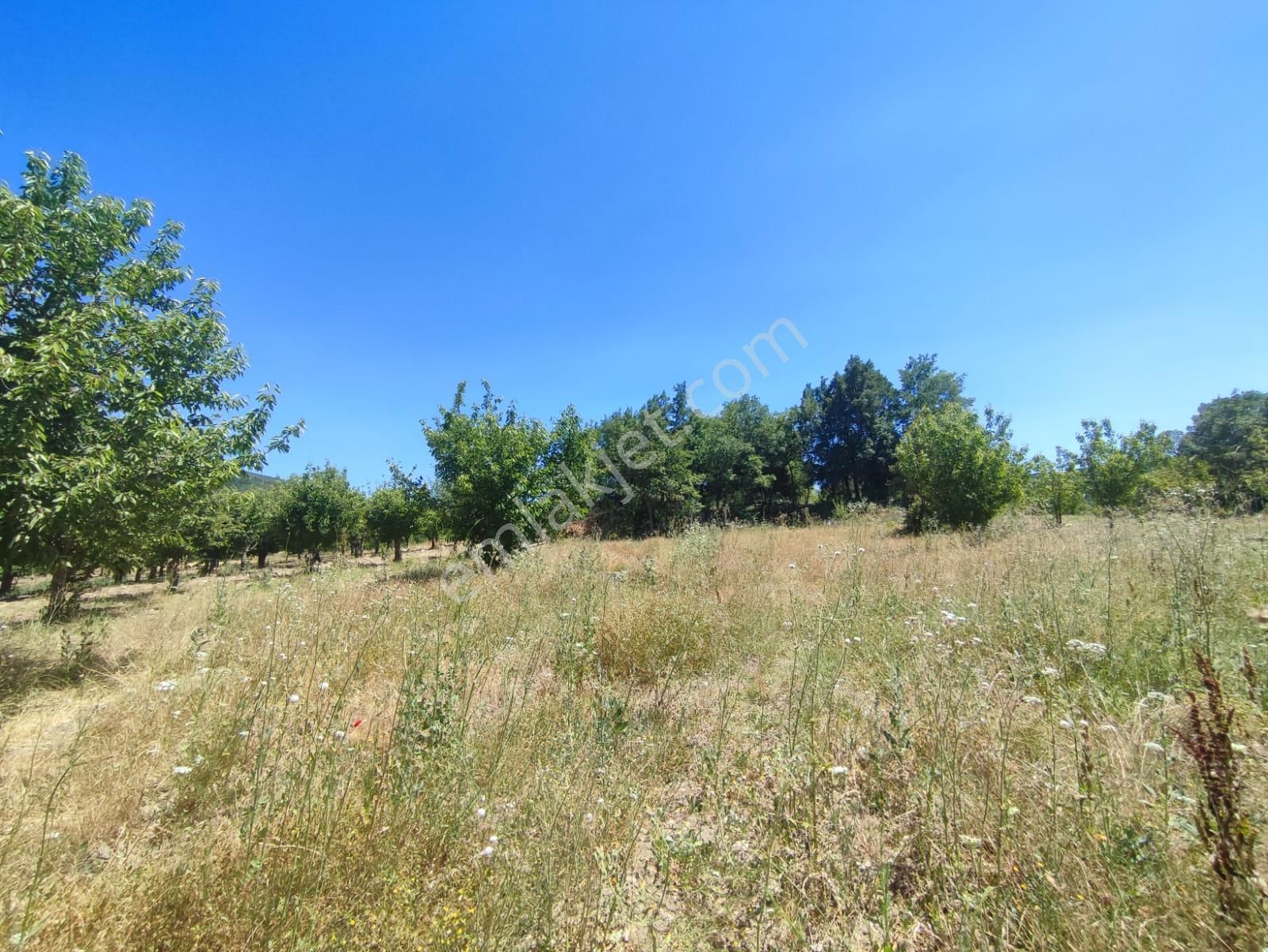 Bursa Keles Denizler De Satılık Bahçe - Görsel 7