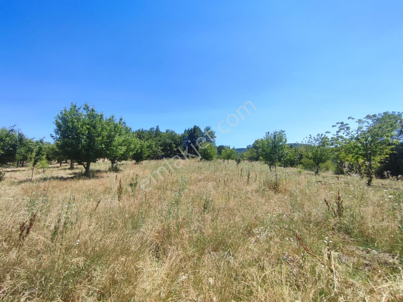 Bursa Keles Denizler De Satılık Bahçe - Görsel 10