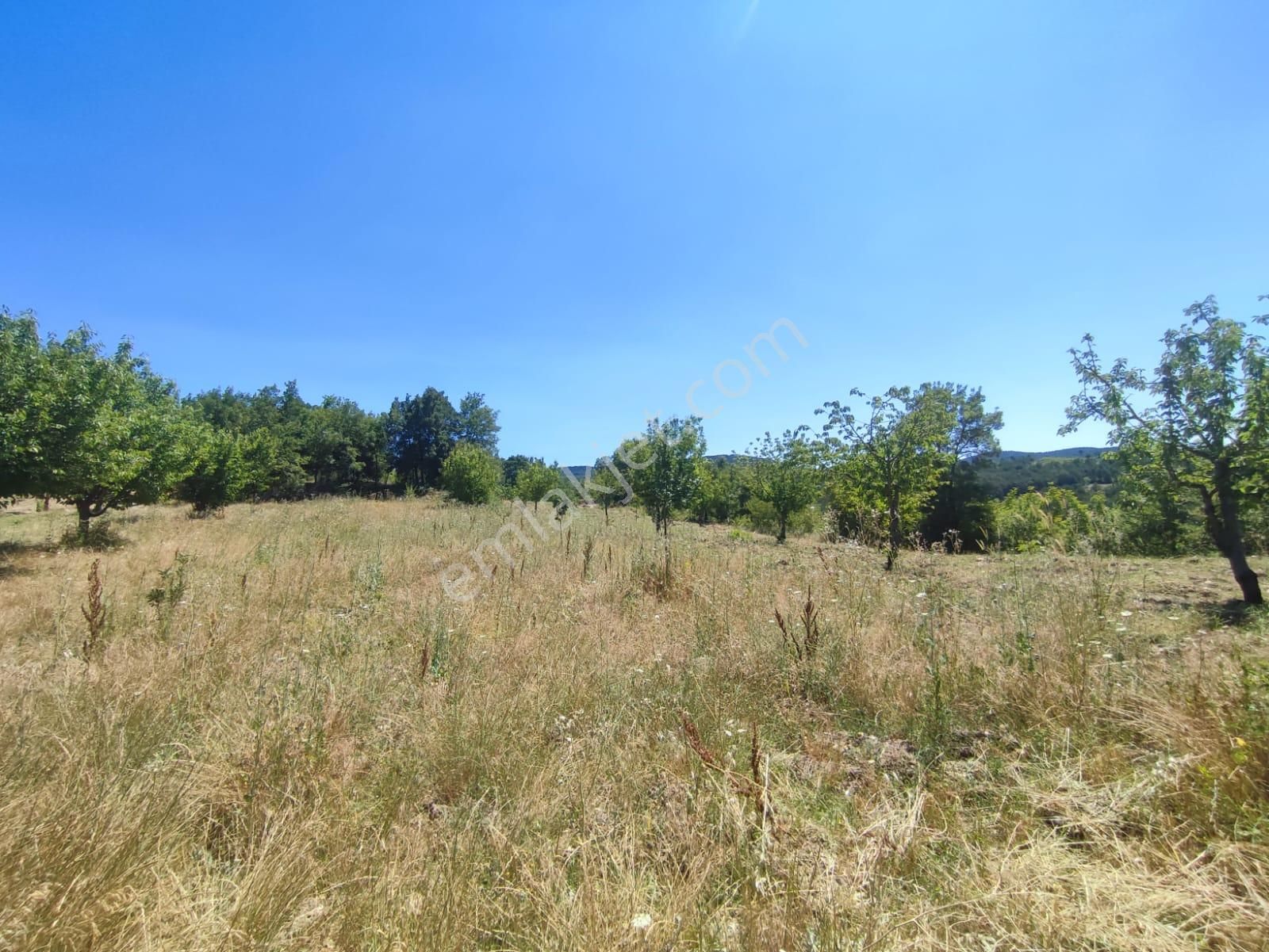 Bursa Keles Denizler De Satılık Bahçe - Görsel 12