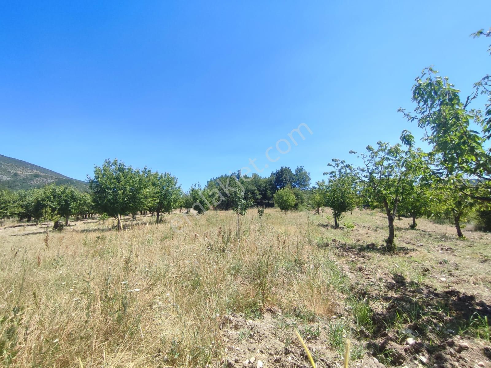 Bursa Keles Denizler De Satılık Bahçe - Görsel 9