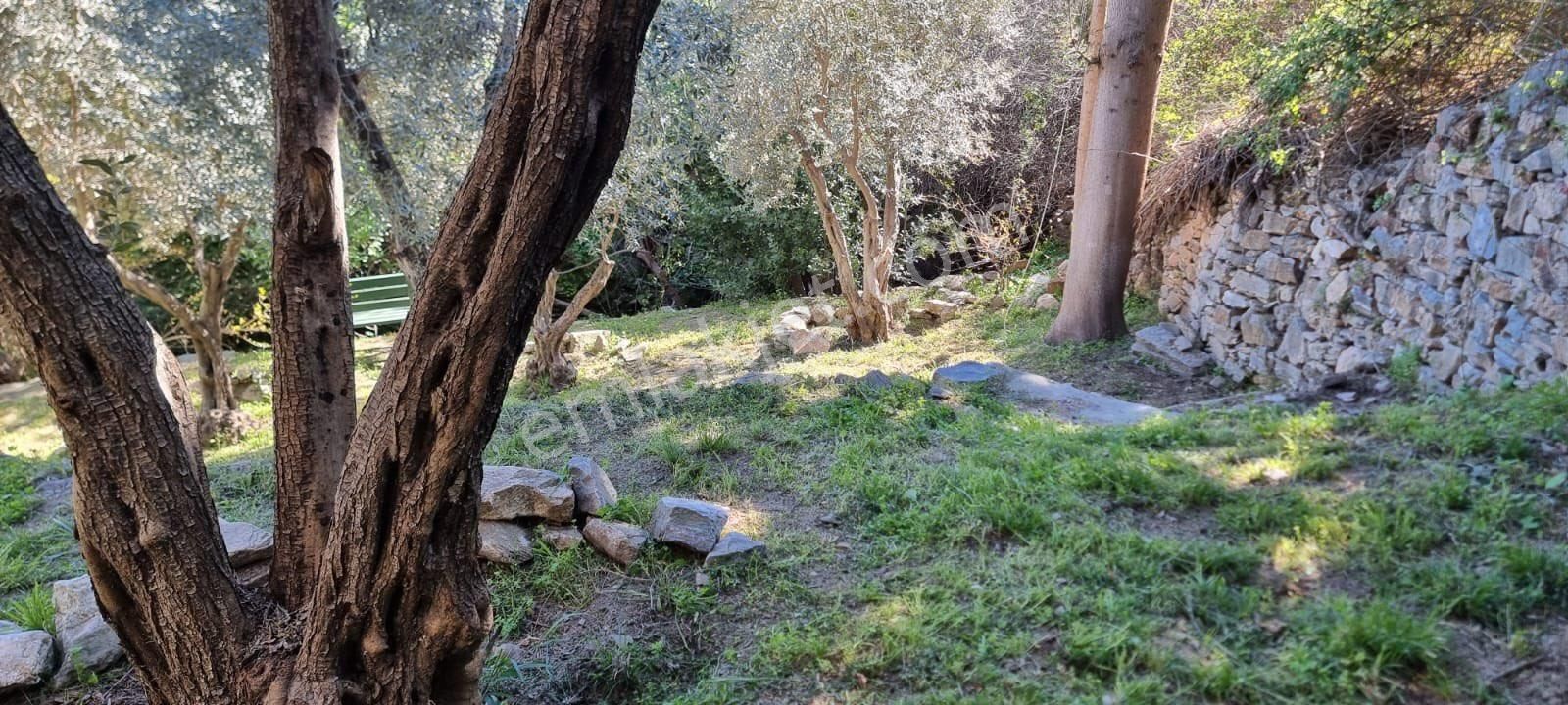 Gelebeç Aziz Nikolas Kilisesi Yanında Çok Özel Konumda Bahçeli Ev - Görsel 8