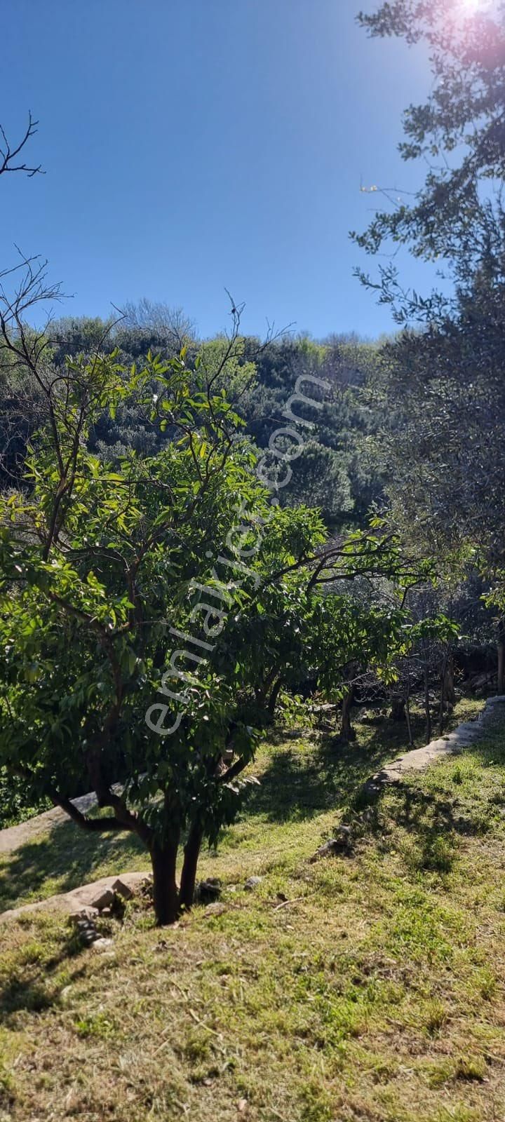 Gelebeç Aziz Nikolas Kilisesi Yanında Çok Özel Konumda Bahçeli Ev - Görsel 11