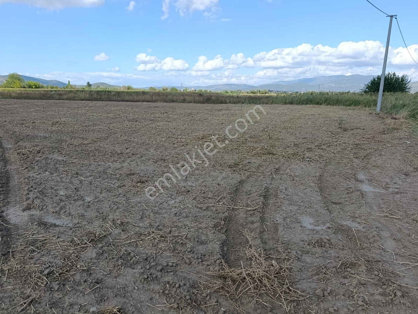 Yıldırım Mühendislikten Bodrum Çevre Yoluna Yakın Konumda "2.925 M2" Tarla - Görsel 5