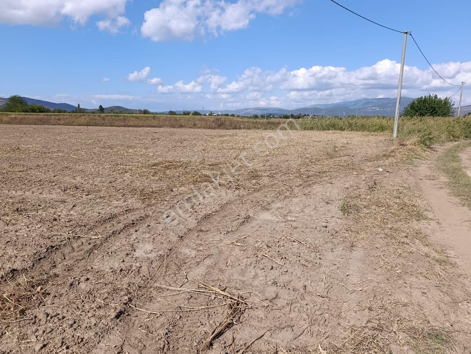 Yıldırım Mühendislikten Bodrum Çevre Yoluna Yakın Konumda "2.925 M2" Tarla - Görsel 10