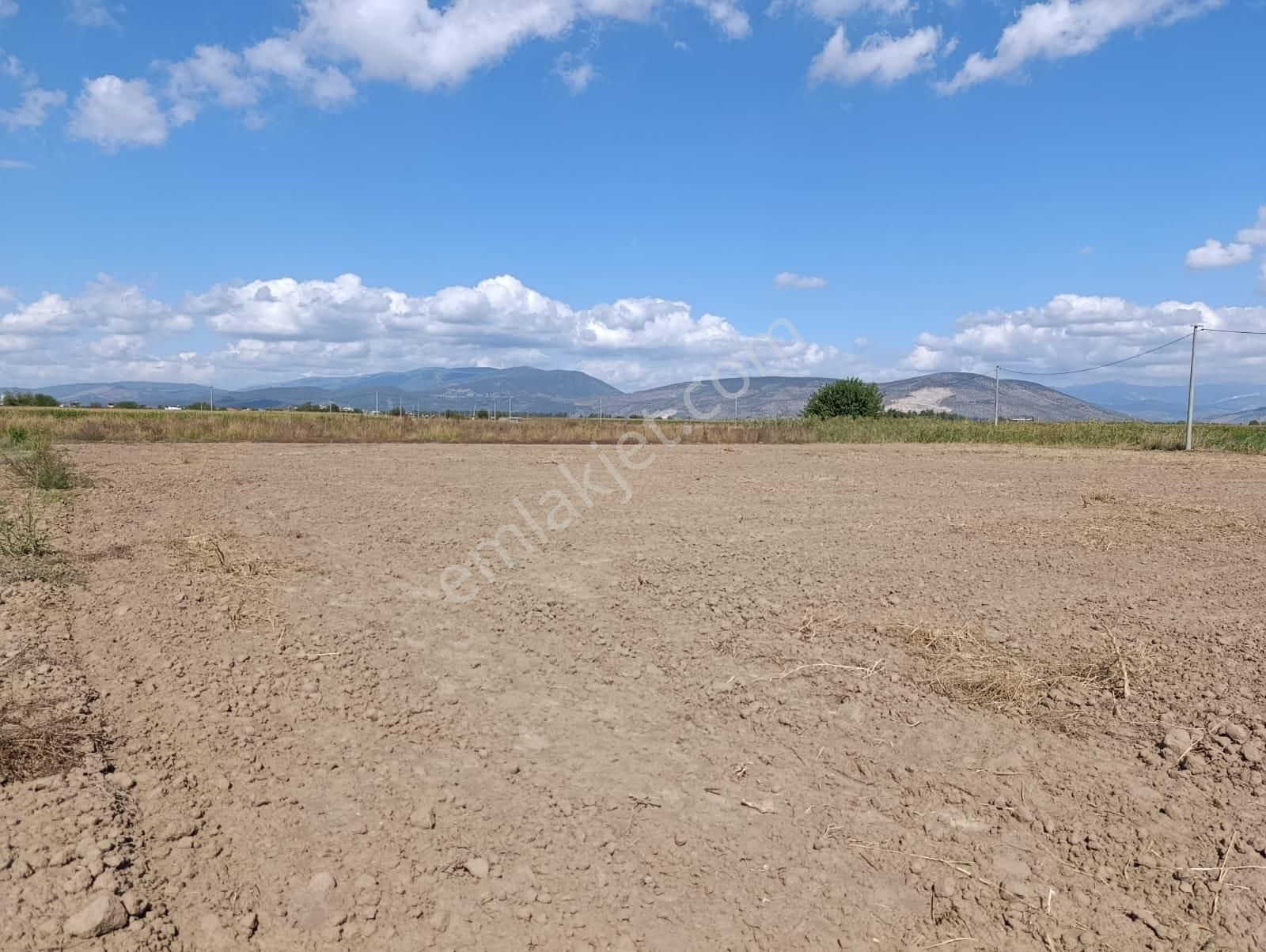 Yıldırım Mühendislikten Bodrum Çevre Yoluna Yakın Konumda "2.925 M2" Tarla - Görsel 9