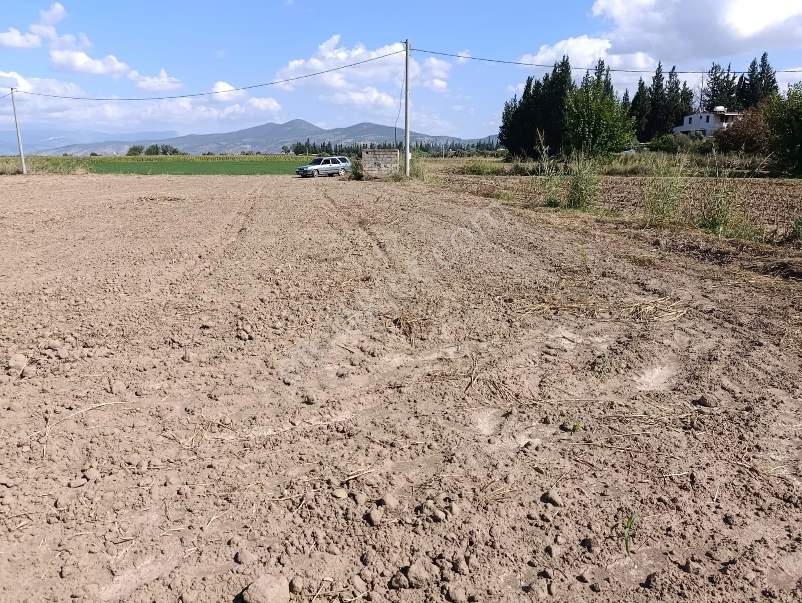 Yıldırım Mühendislikten Bodrum Çevre Yoluna Yakın Konumda "2.925 M2" Tarla - Görsel 8