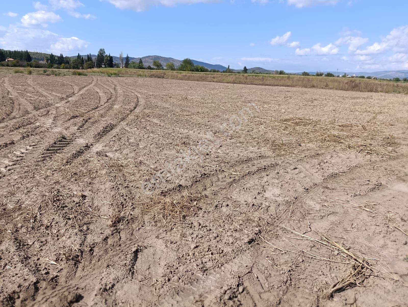 Yıldırım Mühendislikten Bodrum Çevre Yoluna Yakın Konumda "2.925 M2" Tarla - Görsel 11