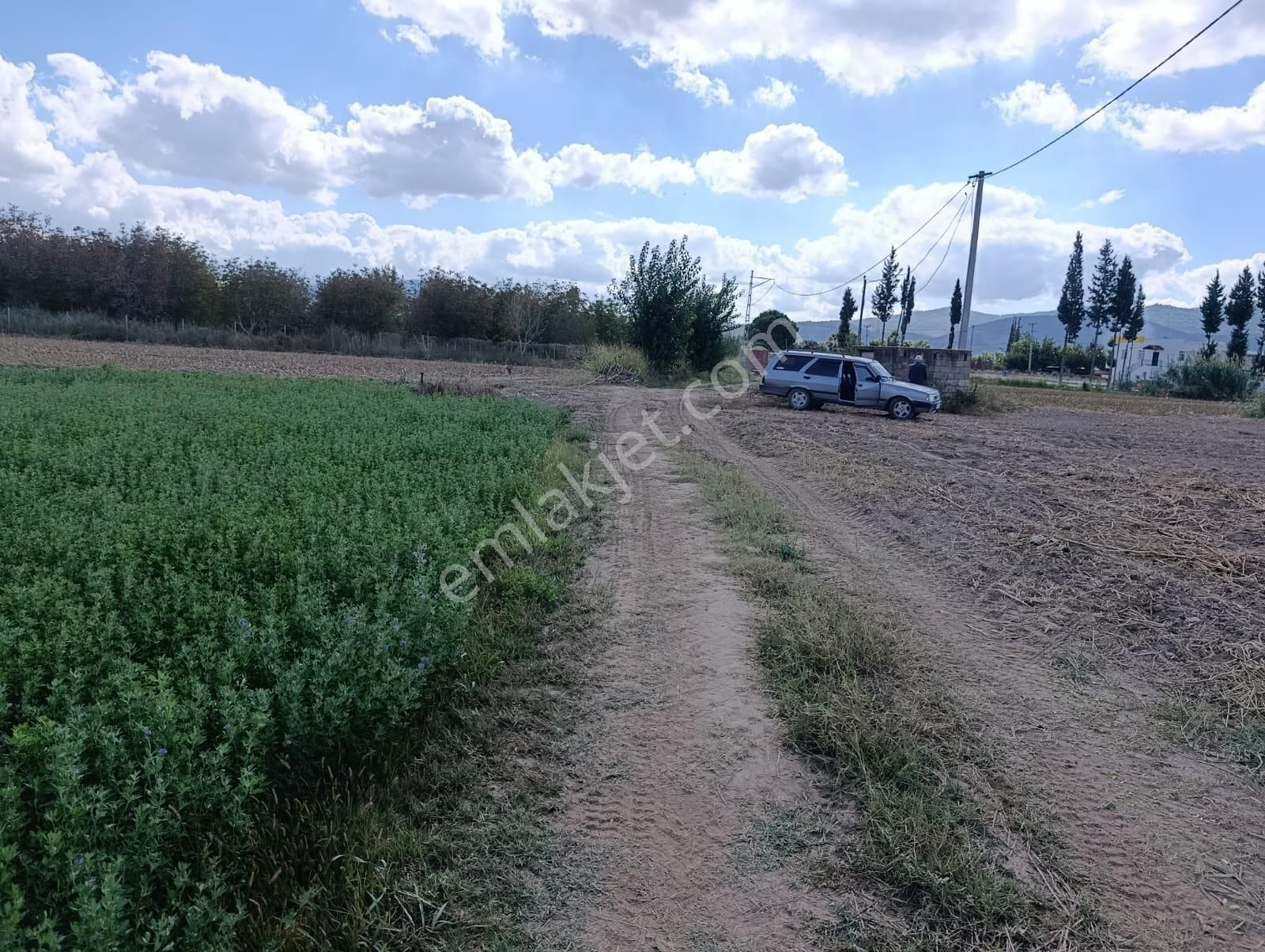 Yıldırım Mühendislikten Bodrum Çevre Yoluna Yakın Konumda "2.925 M2" Tarla - Görsel 7