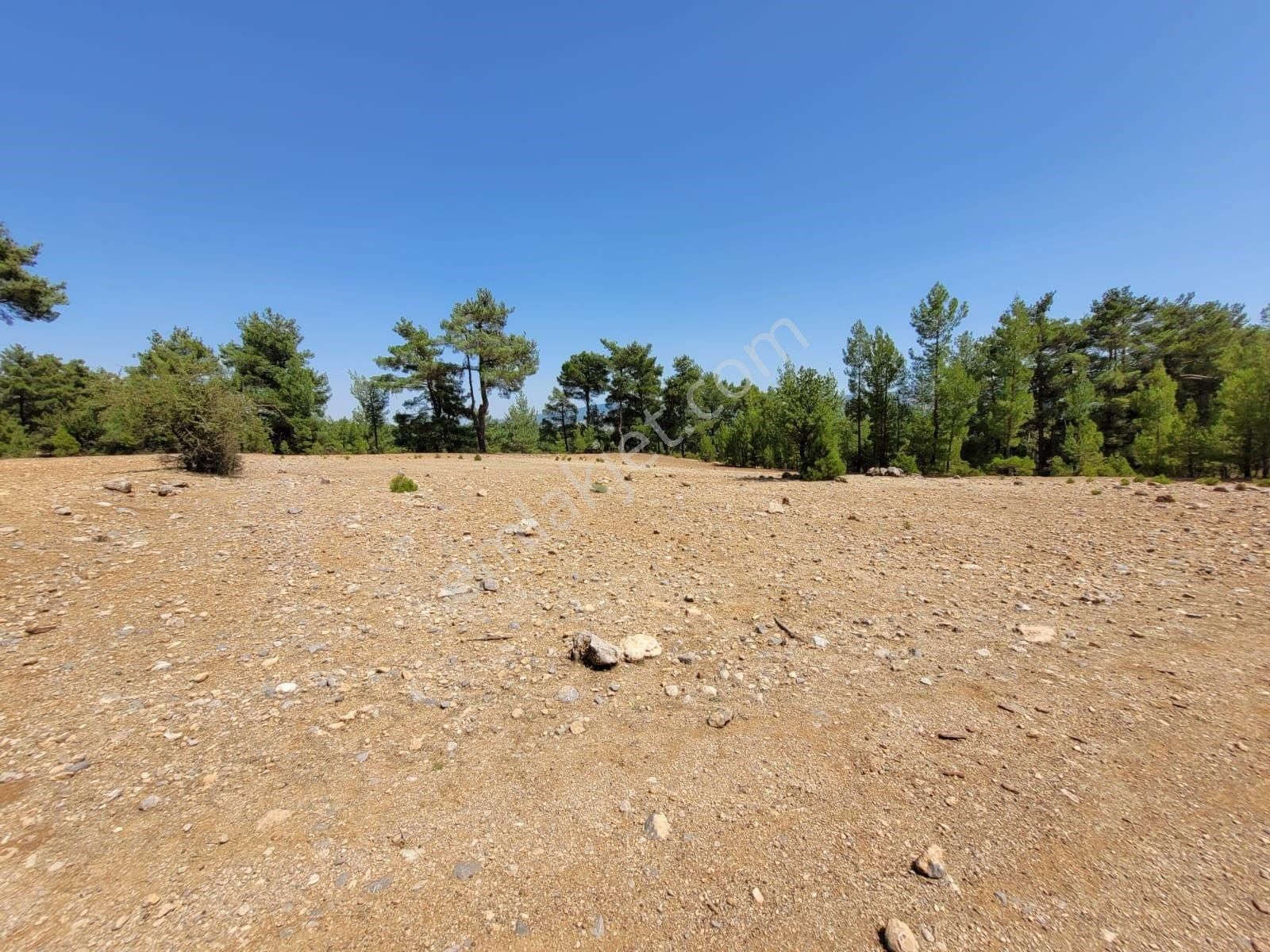 Acil Satılık Tarla. Acıpayam Güney Mh. 4.852 M² Tarla Pazarlıklı