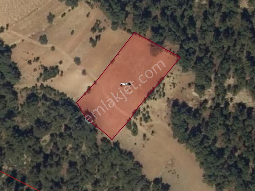 Acil Satılık Tarla. Acıpayam Güney Mh. 4.852 M² Tarla Pazarlıklı - Görsel 8