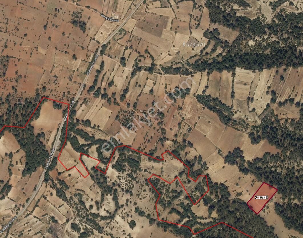 Acil Satılık Tarla. Acıpayam Güney Mh. 4.852 M² Tarla Pazarlıklı - Görsel 9