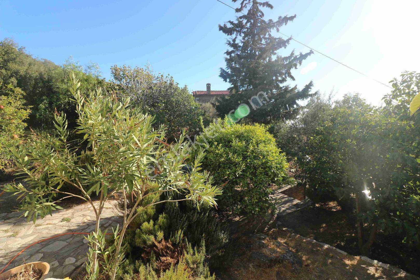 ''domatıa'' Eskıdoğanbey De Genış Arsalı Müstakıl Ev - Görsel 15