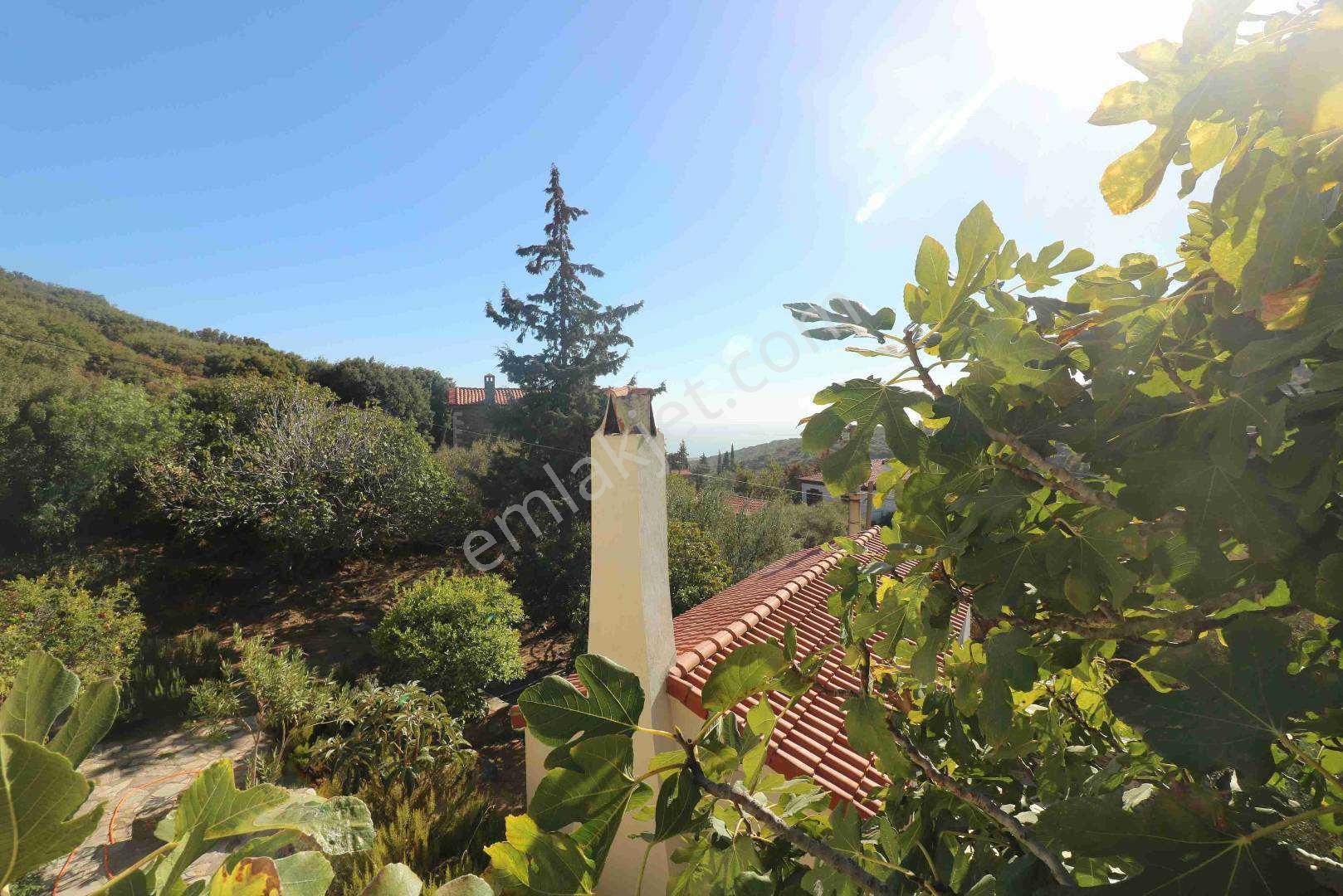 ''domatıa'' Eskıdoğanbey De Genış Arsalı Müstakıl Ev - Görsel 14