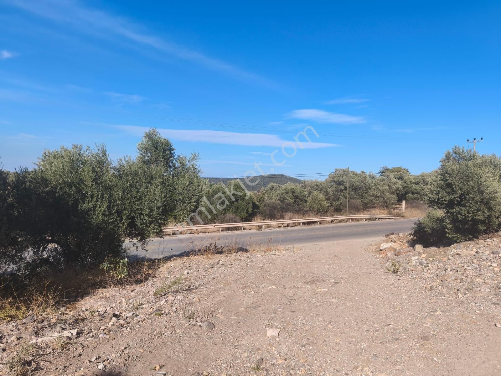 Gölköy Anayola Sıfır Kiralık Zeytinli Arsa - Görsel 2