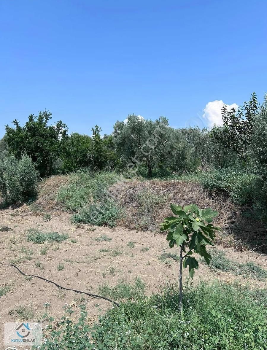 Yalınkuyu'da Satılık Bahçe - Görsel 12