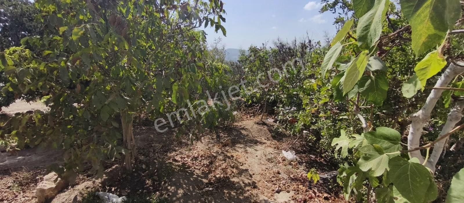 Fiyat Düştü Tarsus Dedelerde Acilll Satılık Arsa - Görsel 9