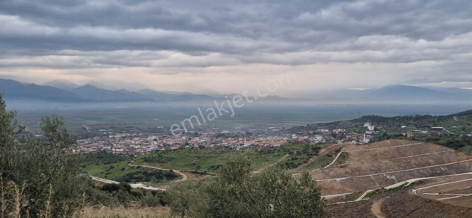 Aydın Nazilli Yöntem Emlaktan Yenipazar Donduran Mahallesinde Satılık Zeytinlik - Görsel 33