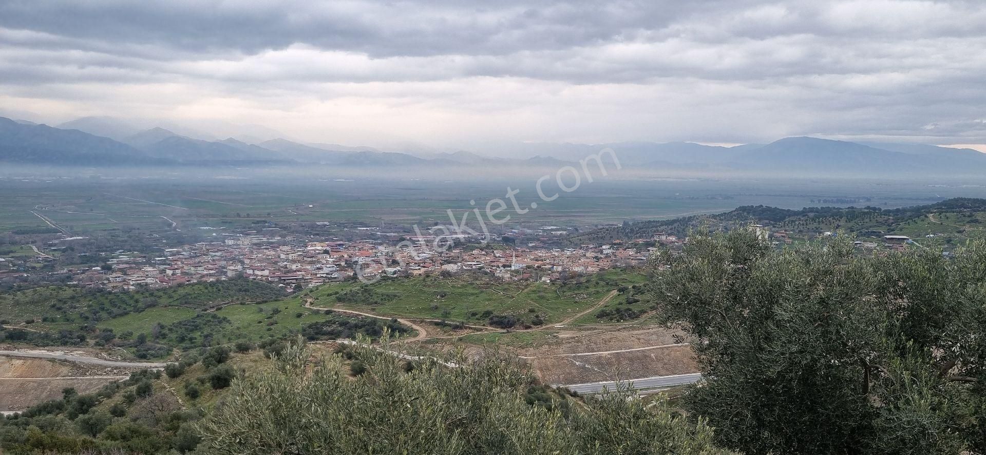 Aydın Nazilli Yöntem Emlaktan Yenipazar Donduran Mahallesinde Satılık Zeytinlik - Görsel 6