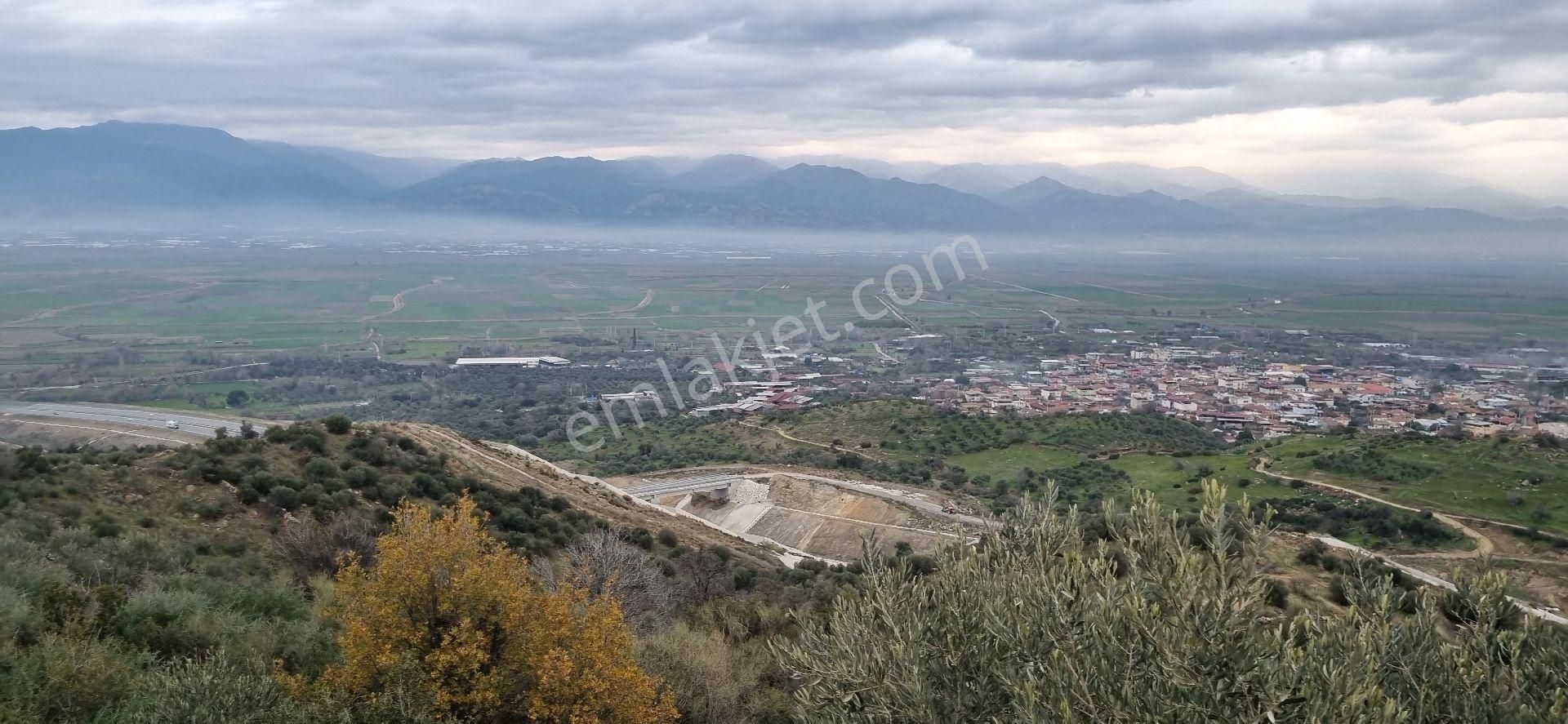 Aydın Nazilli Yöntem Emlaktan Yenipazar Donduran Mahallesinde Satılık Zeytinlik - Görsel 25