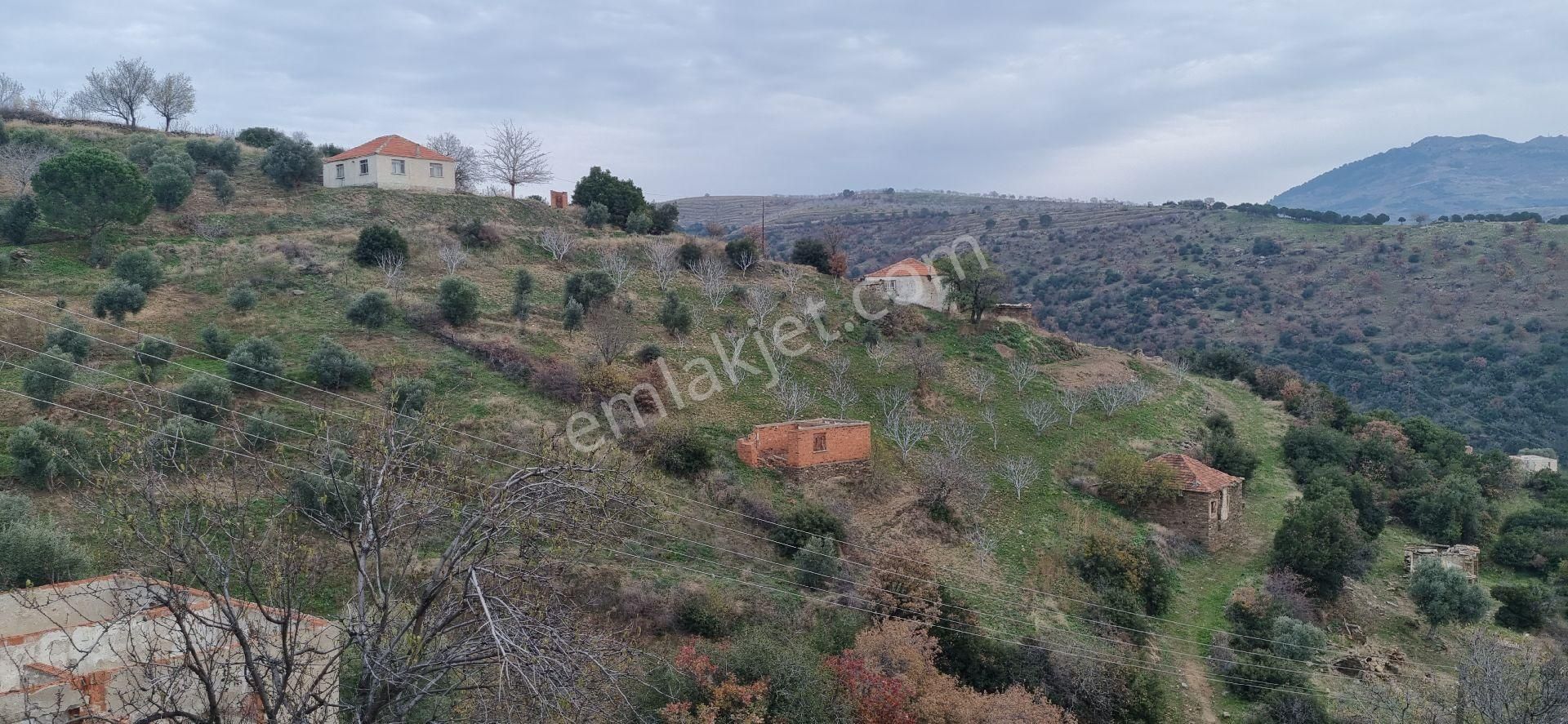 Aydın Nazilli Yöntem Emlaktan Yenipazar Alioğullar Mahallesinde Satılık Müstakil Ev Ve Bahçesi - Görsel 12