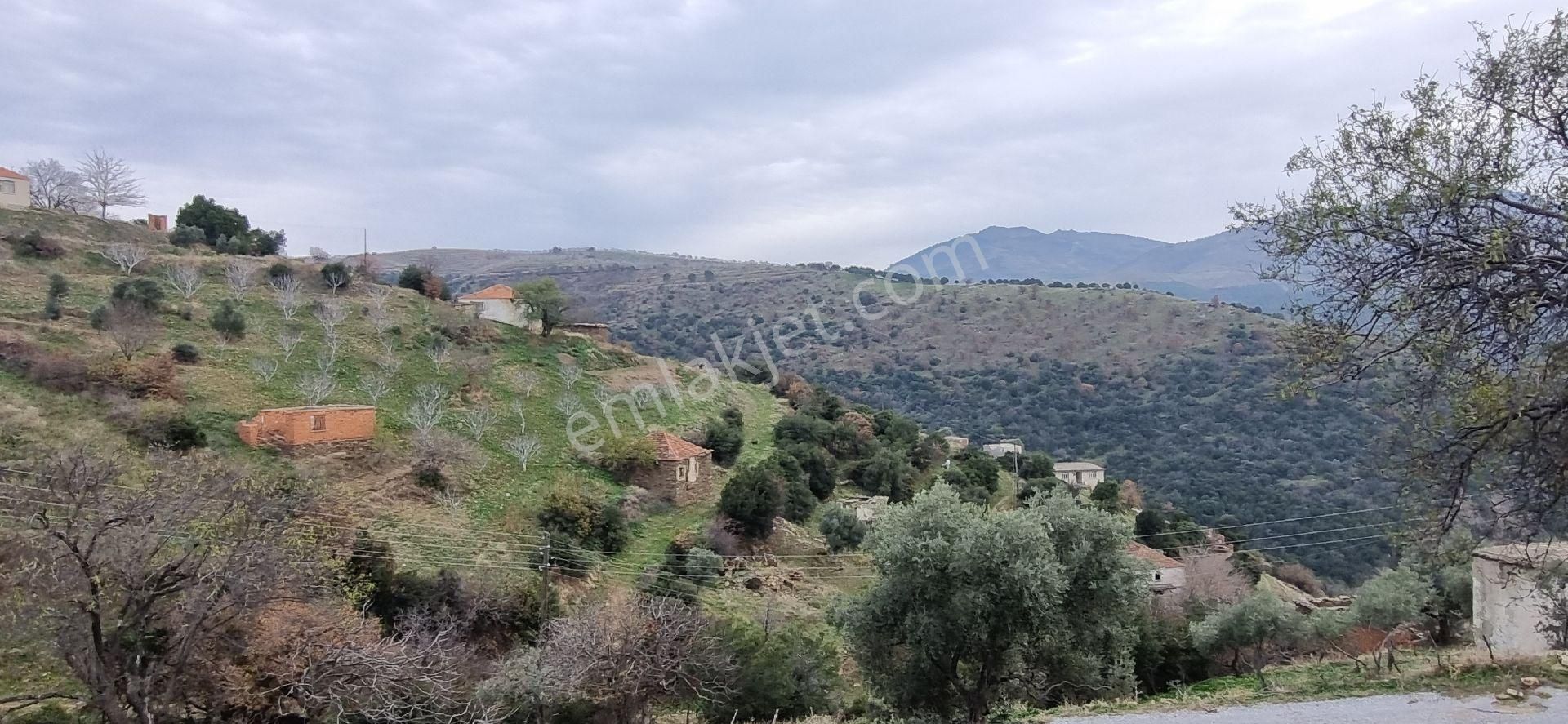 Aydın Nazilli Yöntem Emlaktan Yenipazar Alioğullar Mahallesinde Satılık Müstakil Ev Ve Bahçesi - Görsel 20
