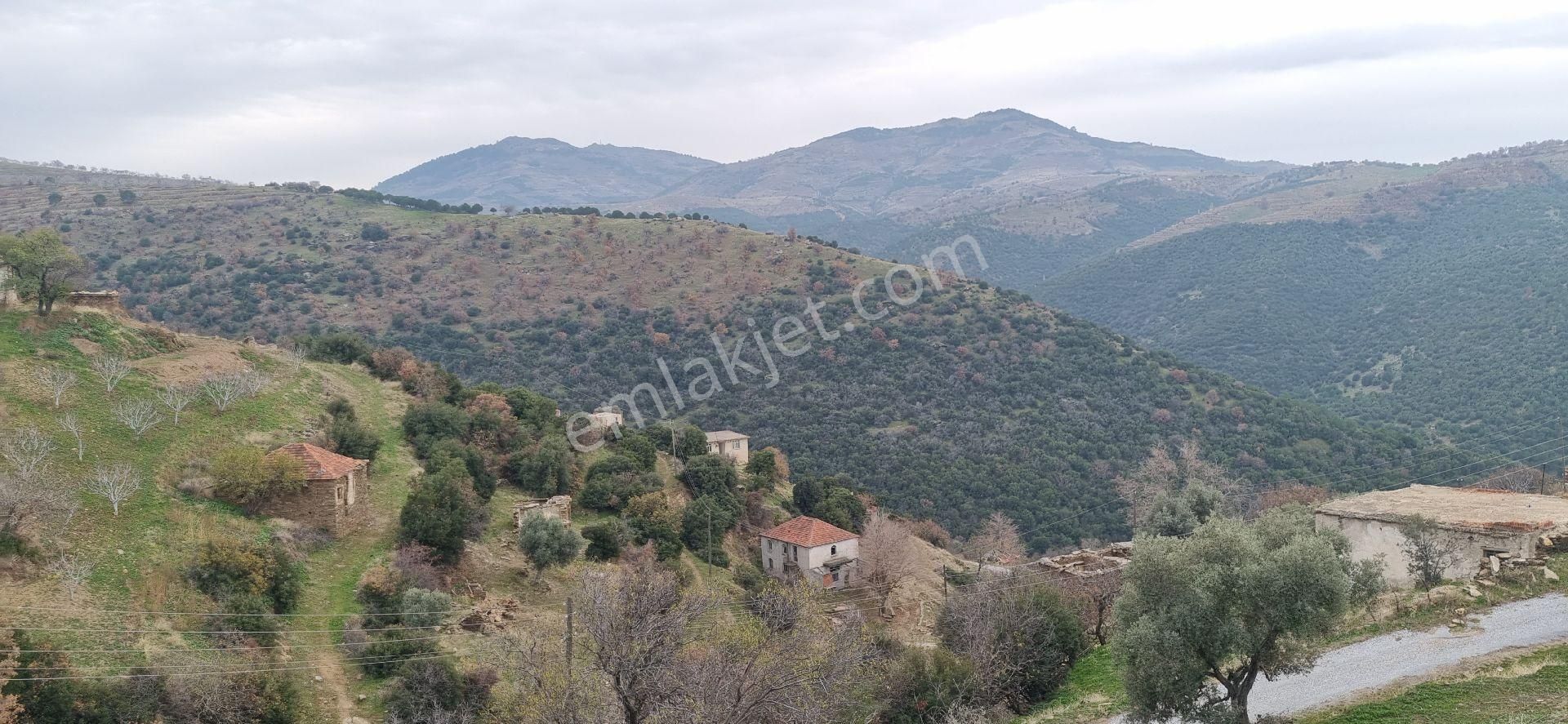 Aydın Nazilli Yöntem Emlaktan Yenipazar Alioğullar Mahallesinde Satılık Müstakil Ev Ve Bahçesi - Görsel 10