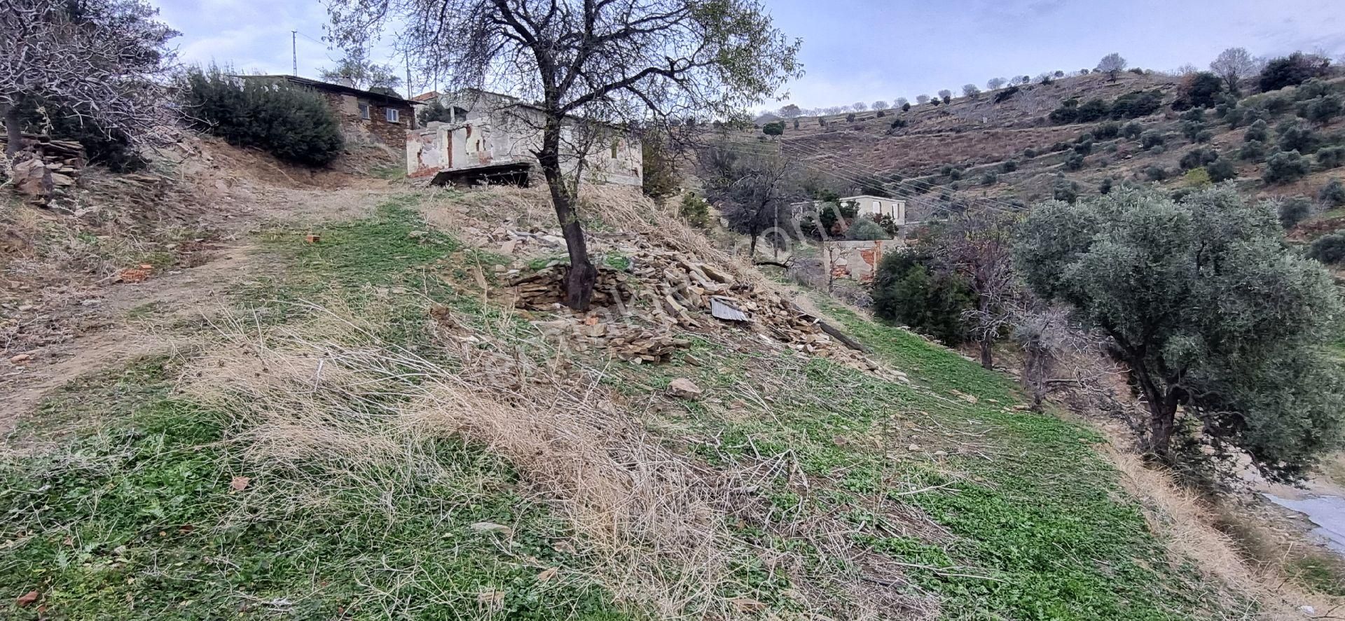 Aydın Nazilli Yöntem Emlaktan Yenipazar Alioğullar Mahallesinde Satılık Müstakil Ev Ve Bahçesi - Görsel 23