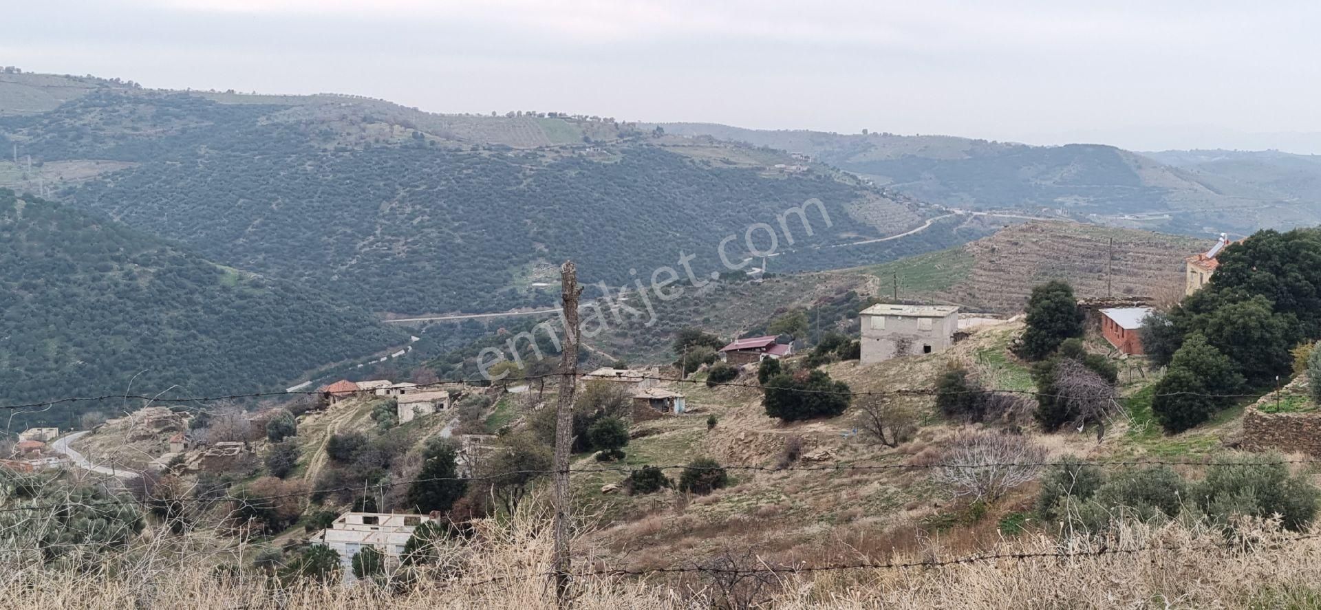 Aydın Nazilli Yöntem Emlaktan Yenipazar Alioğullar Mahallesinde Satılık Müstakil Ev Ve Bahçesi - Görsel 8