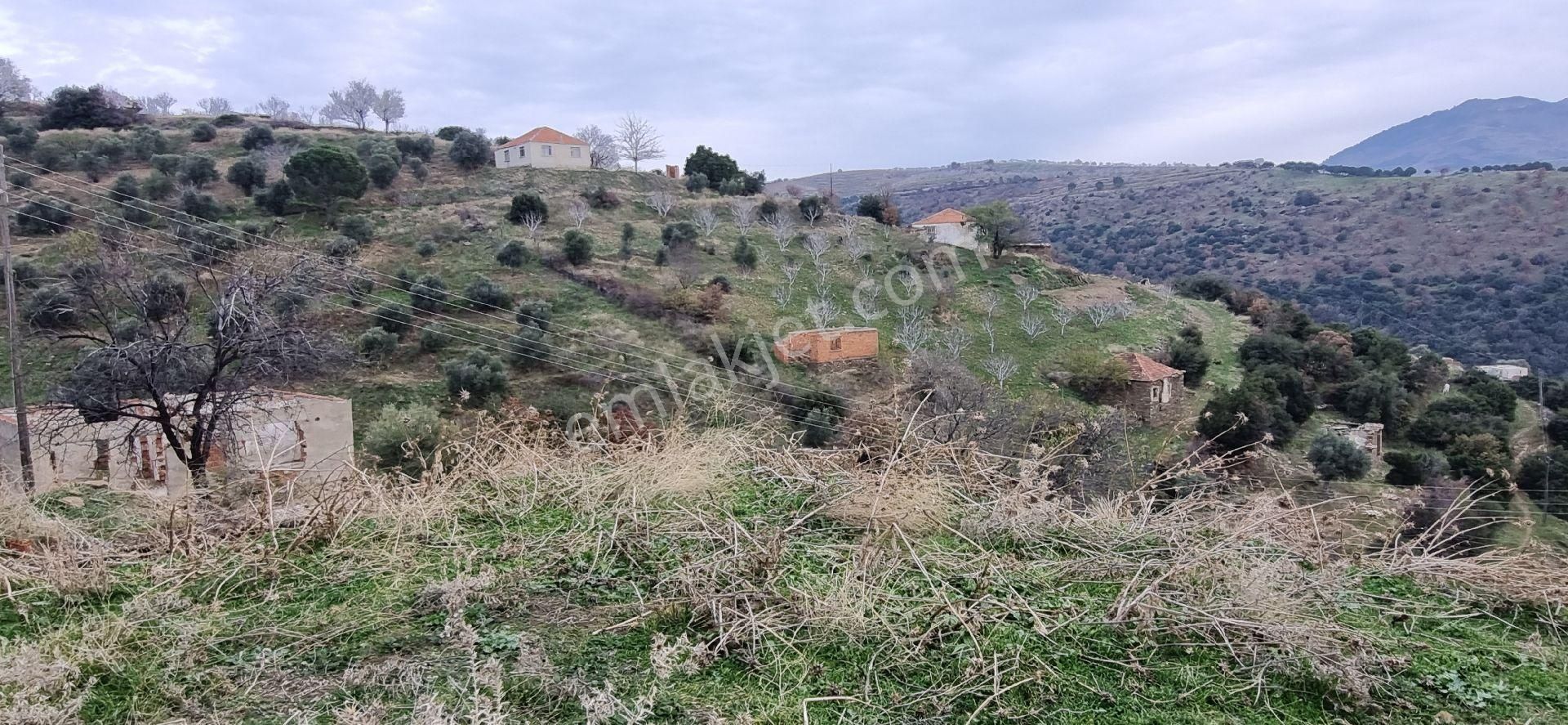 Aydın Nazilli Yöntem Emlaktan Yenipazar Alioğullar Mahallesinde Satılık Müstakil Ev Ve Bahçesi - Görsel 17