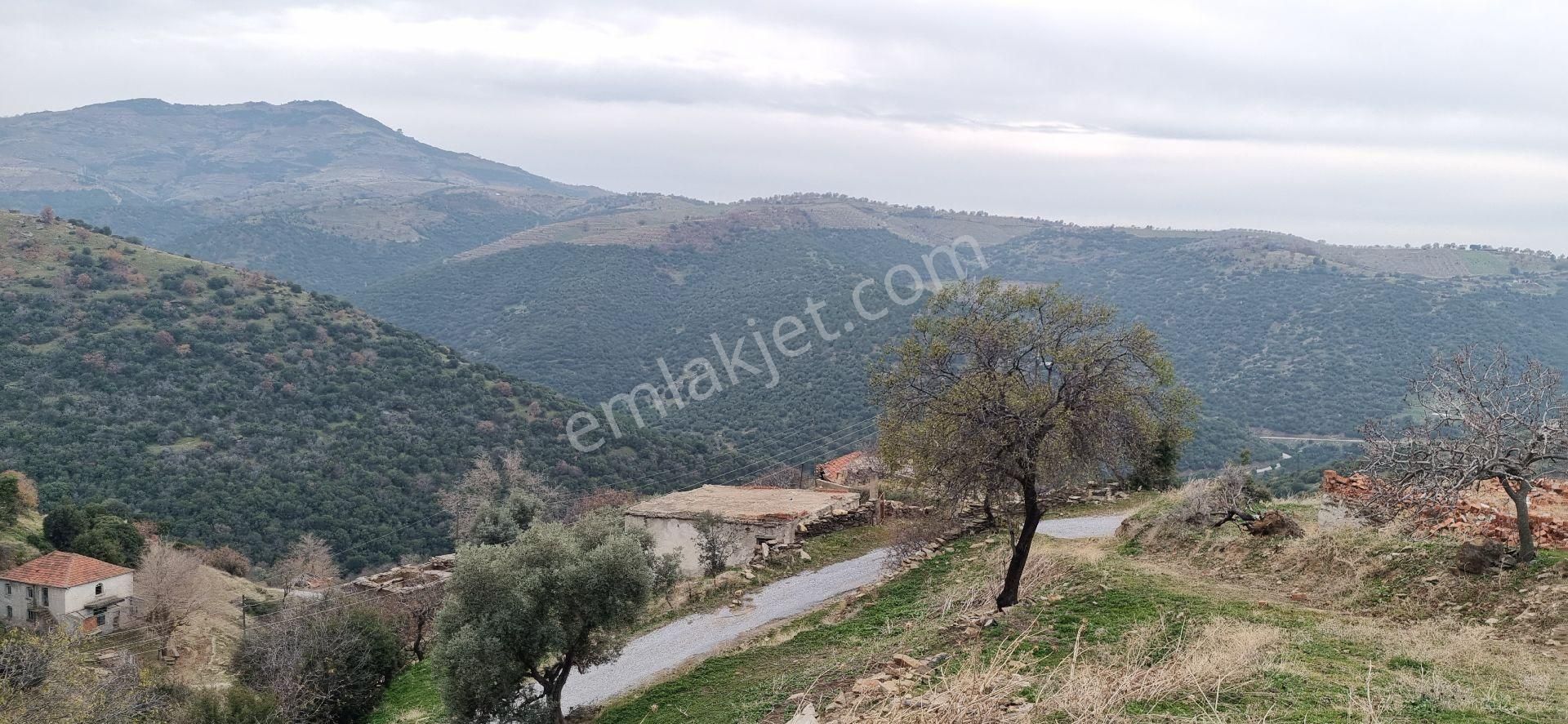 Aydın Nazilli Yöntem Emlaktan Yenipazar Alioğullar Mahallesinde Satılık Müstakil Ev Ve Bahçesi - Görsel 9