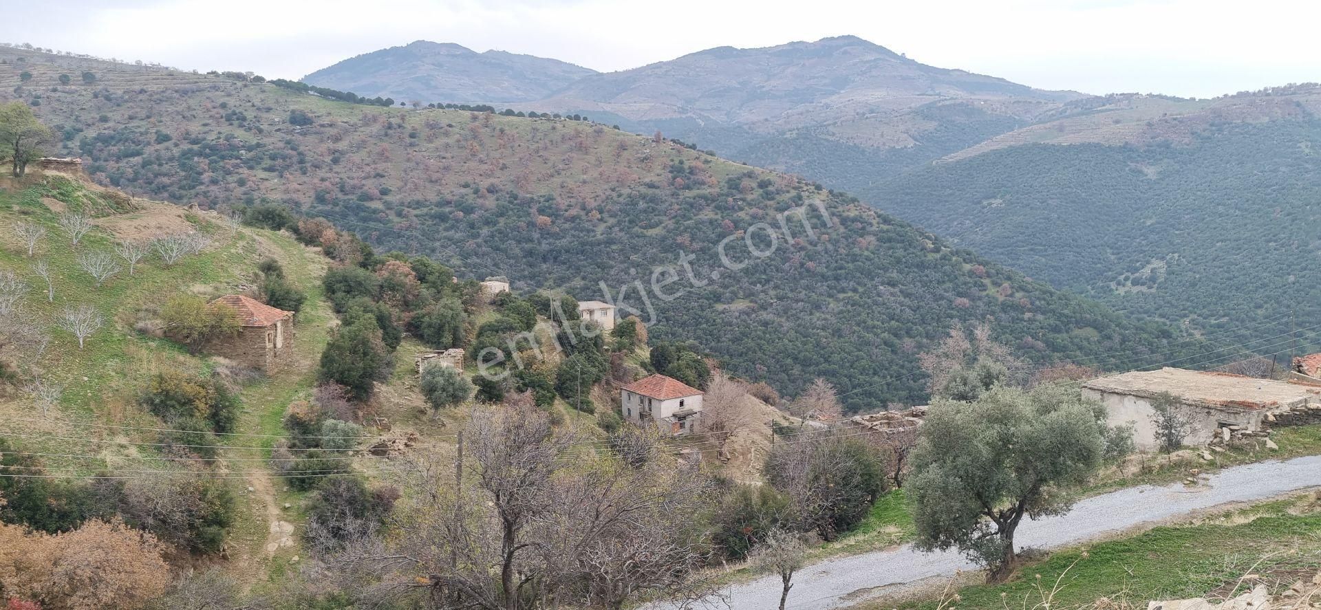 Aydın Nazilli Yöntem Emlaktan Yenipazar Alioğullar Mahallesinde Satılık Müstakil Ev Ve Bahçesi - Görsel 6