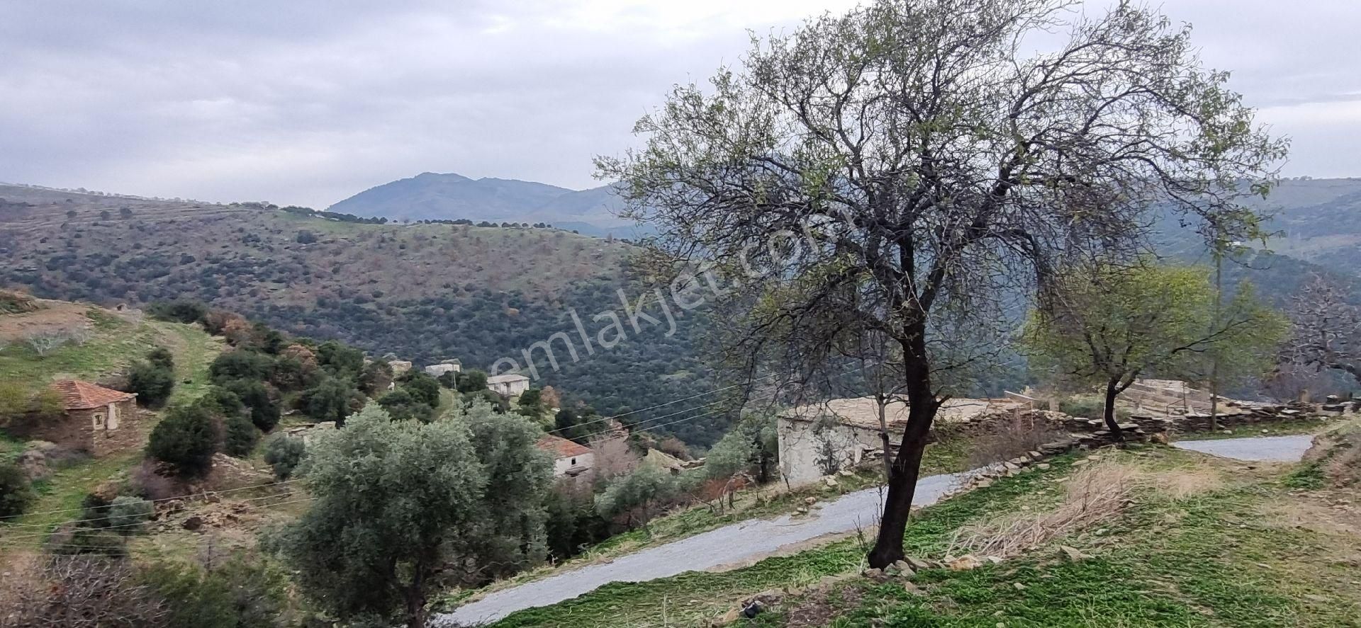 Aydın Nazilli Yöntem Emlaktan Yenipazar Alioğullar Mahallesinde Satılık Müstakil Ev Ve Bahçesi - Görsel 22