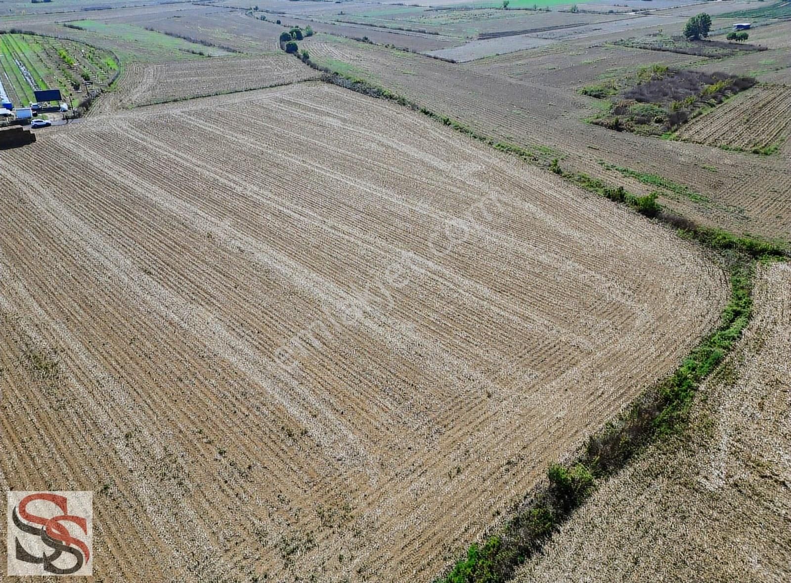 Adapazarı Alandüzünde Muhteşem Konumda Yatırımlık 7.900 M² Tarla - Görsel 24