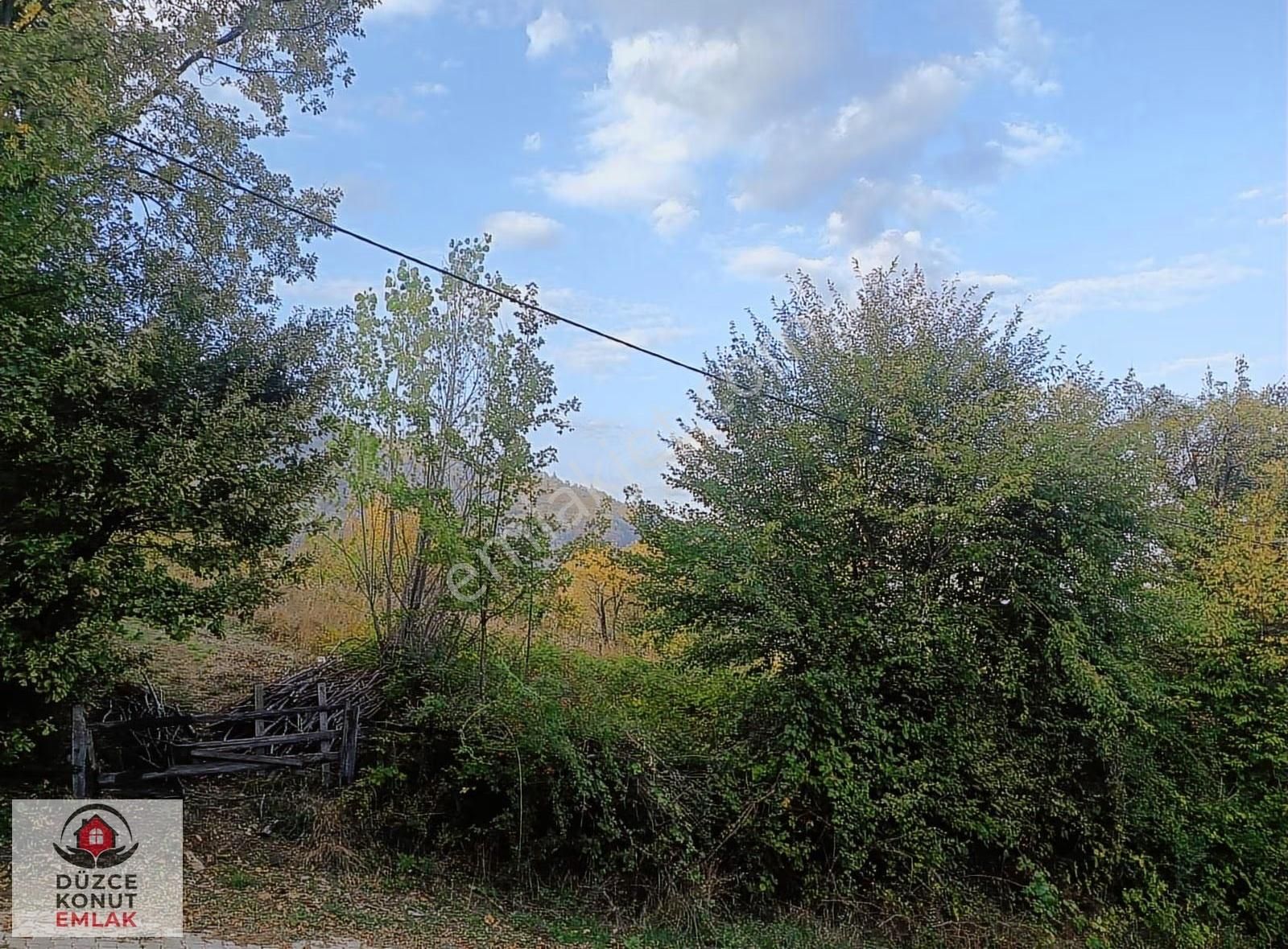 Düzce Gölyaka Çay Köyünde Kısmi İmarlı Harika Fındıklık Satılık - Görsel 3
