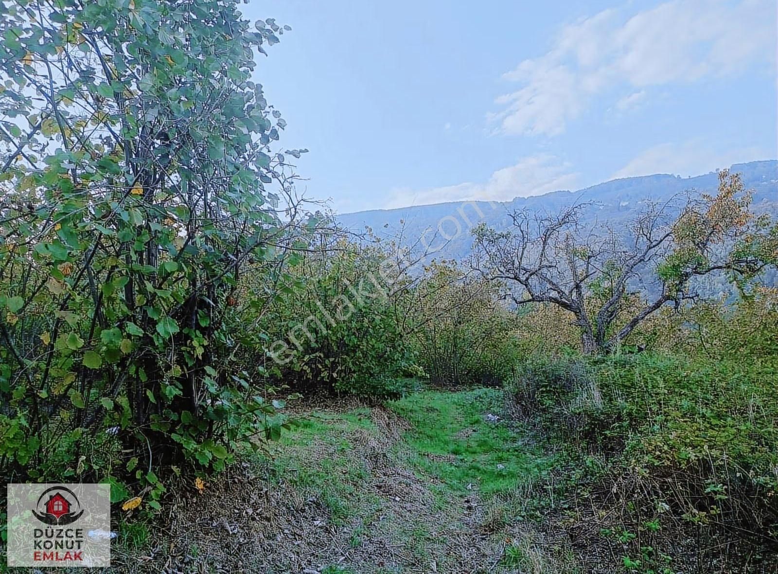 Düzce Gölyaka Çay Köyünde Kısmi İmarlı Harika Fındıklık Satılık - Görsel 17