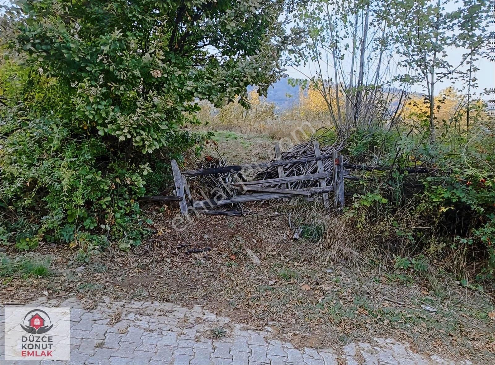 Düzce Gölyaka Çay Köyünde Kısmi İmarlı Harika Fındıklık Satılık