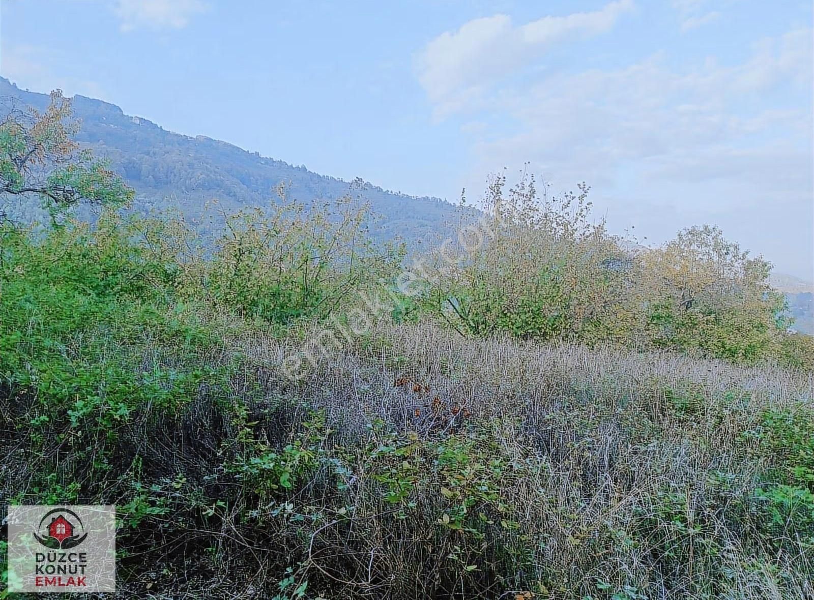 Düzce Gölyaka Çay Köyünde Kısmi İmarlı Harika Fındıklık Satılık - Görsel 18