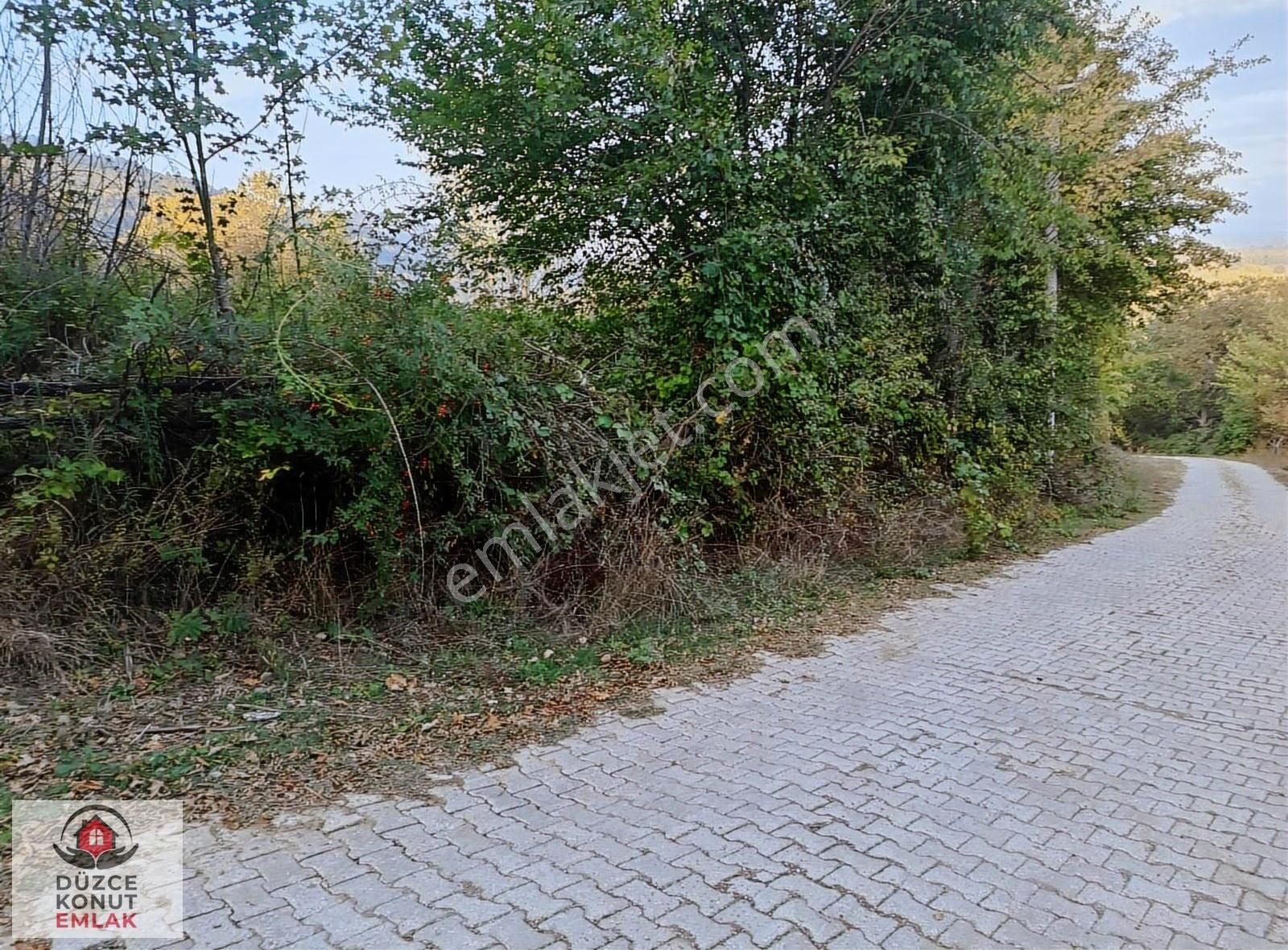 Düzce Gölyaka Çay Köyünde Kısmi İmarlı Harika Fındıklık Satılık - Görsel 5