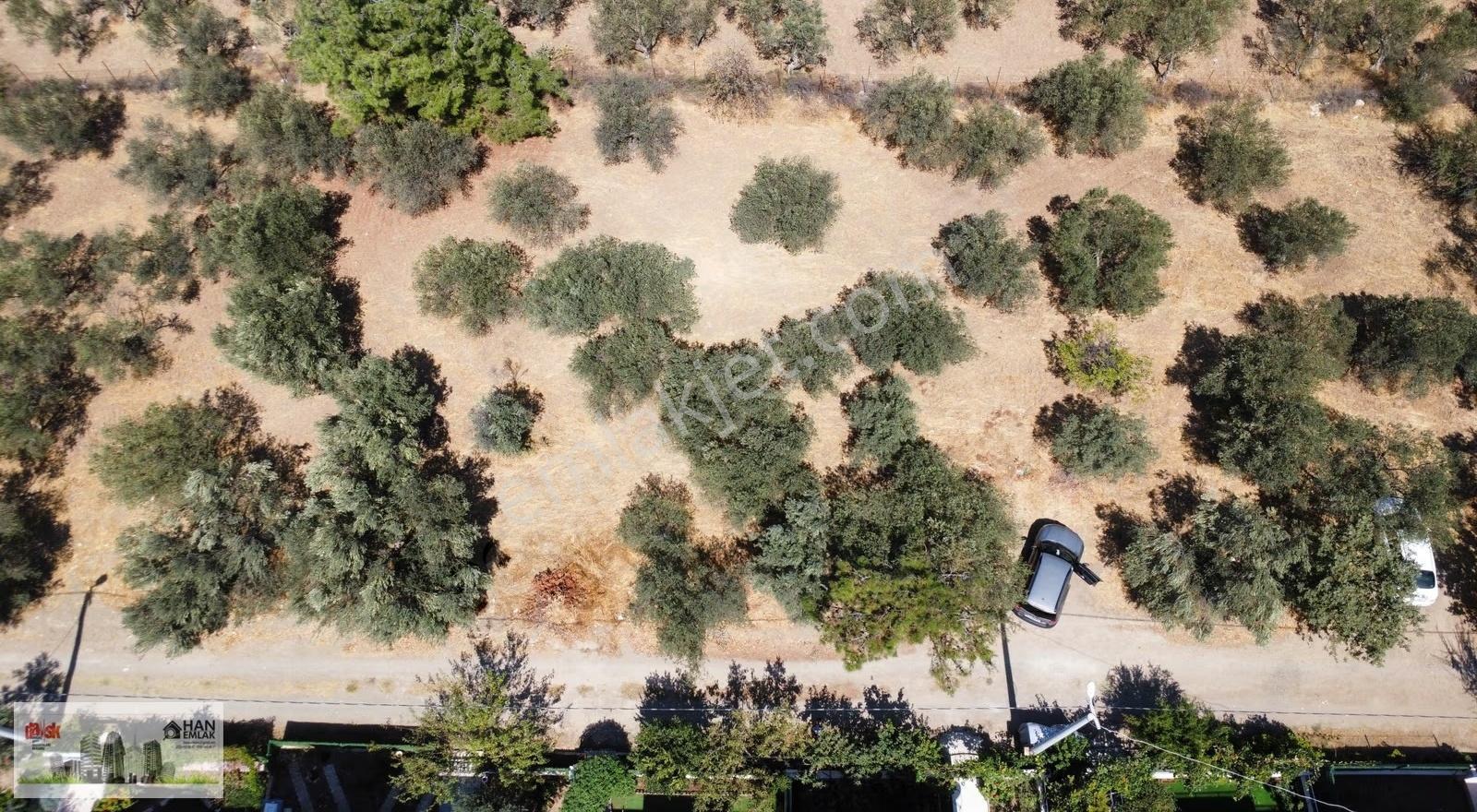 Egenin İncisi Geyikli'de 490 M2 Satılık İmarlı Arsa Han Emlaktan - Görsel 25