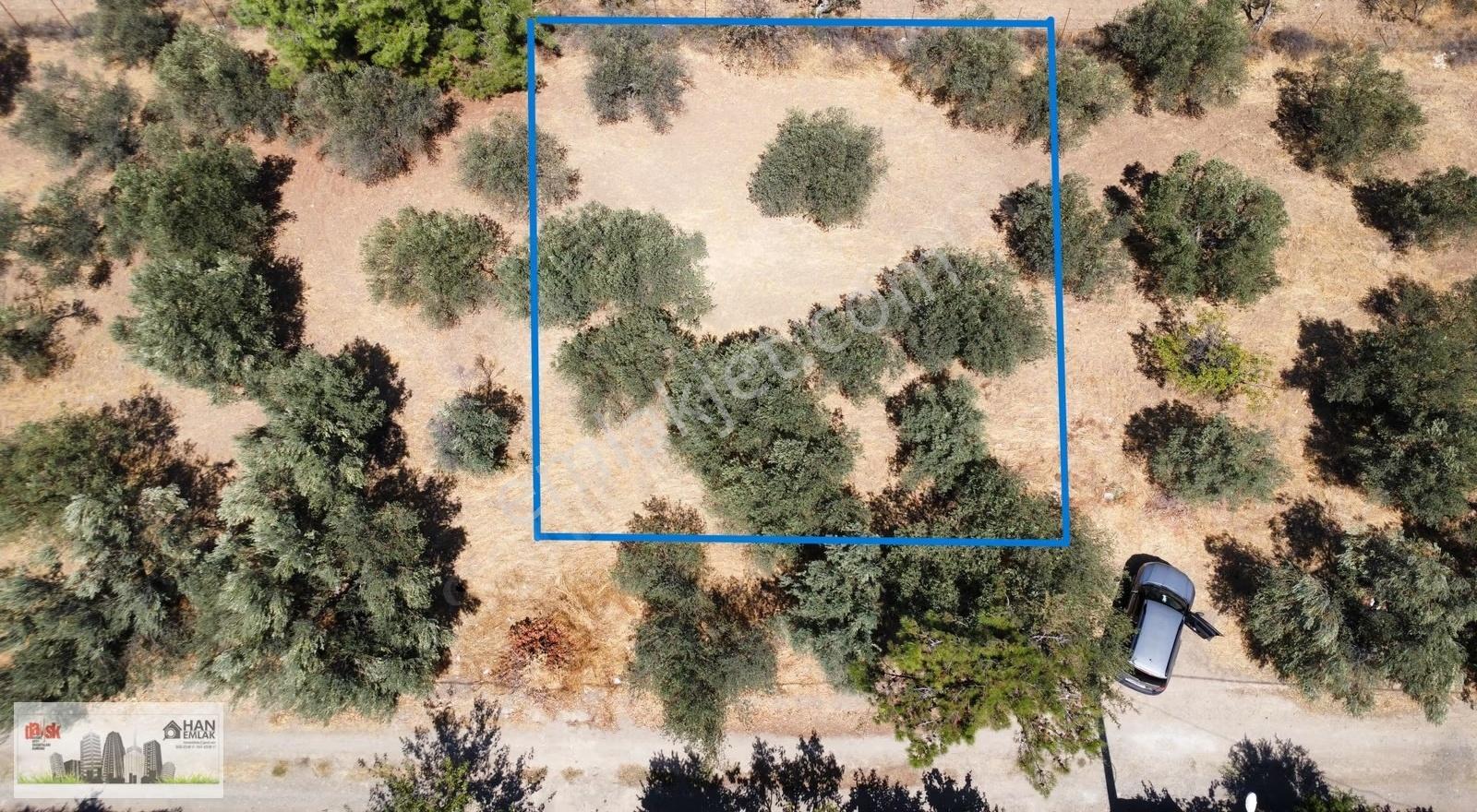 Egenin İncisi Geyikli'de 490 M2 Satılık İmarlı Arsa Han Emlaktan - Görsel 21